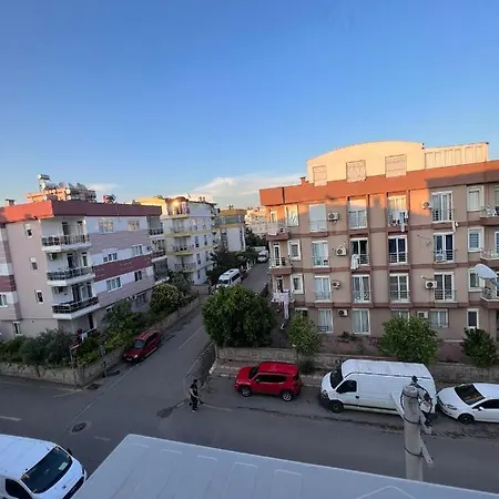 White Houses